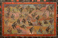 School of Angel Fish