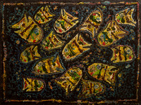 Night Time FIsh